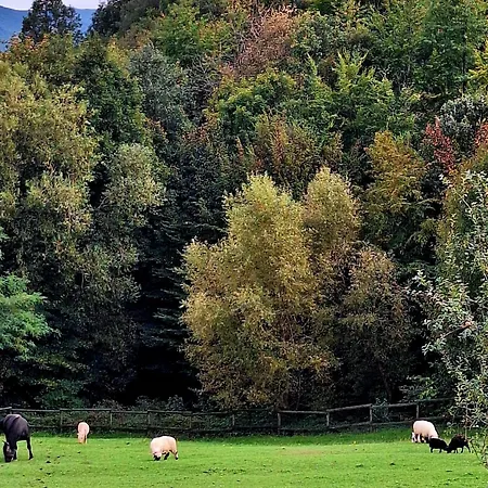 Apartmán Na Detskej Zazitkovej Farme Fajnovo *