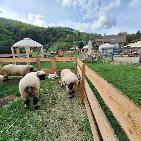 Na Detskej Zazitkovej Farme Fajnovo Nova Bana
