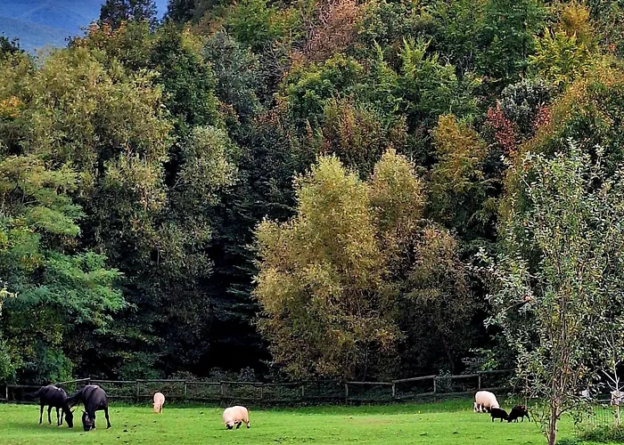 아파트 Na Detskej Zazitkovej Farme Fajnovo *