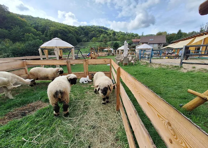 Na Detskej Zazitkovej Farme Fajnovo 노바바냐